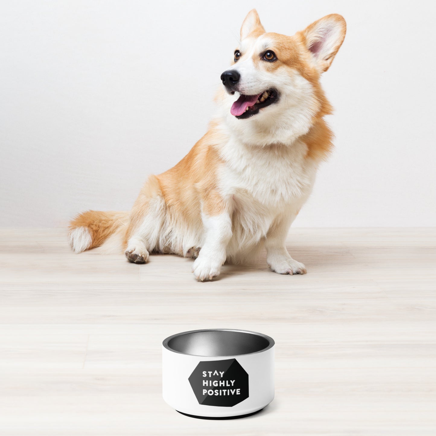 Stay Highly Positive Pet bowl