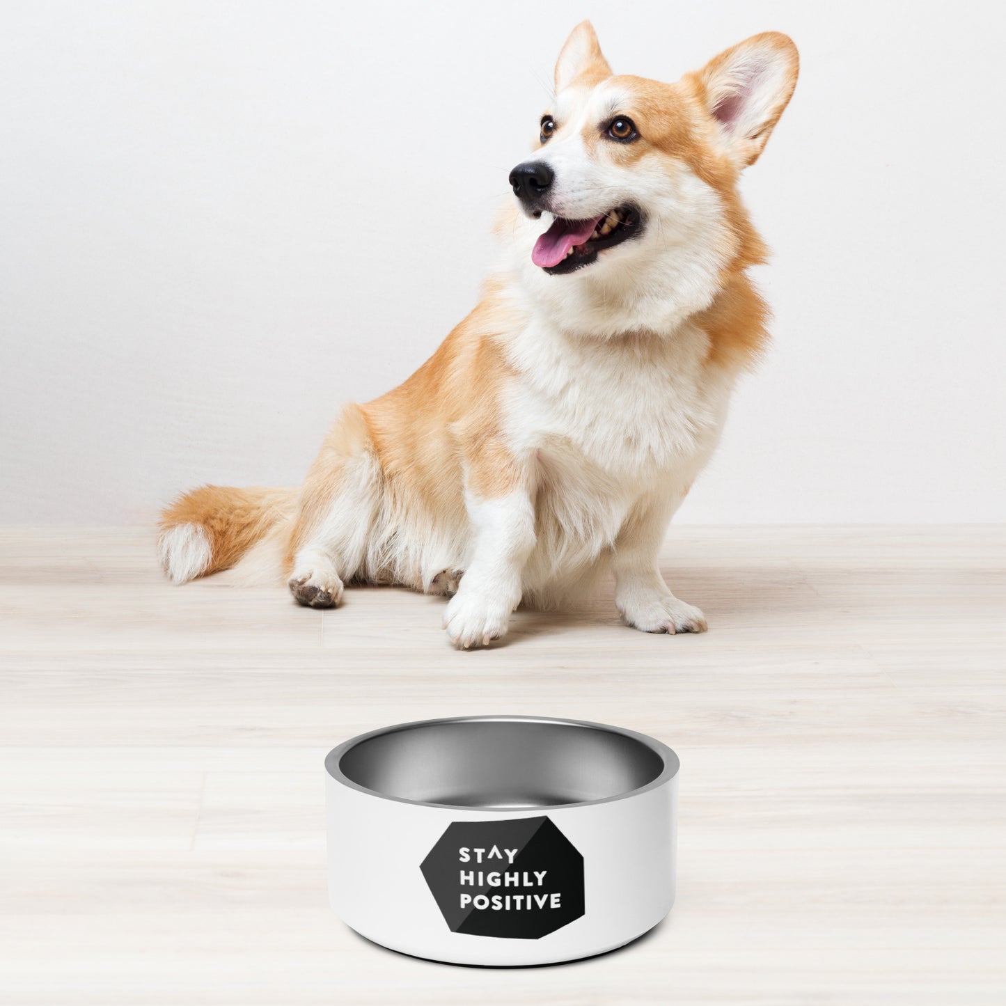 Stay Highly Positive Pet bowl