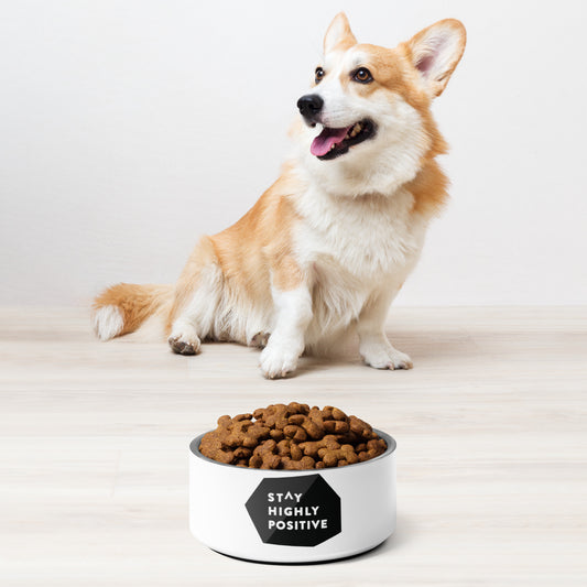 Stay Highly Positive Pet bowl