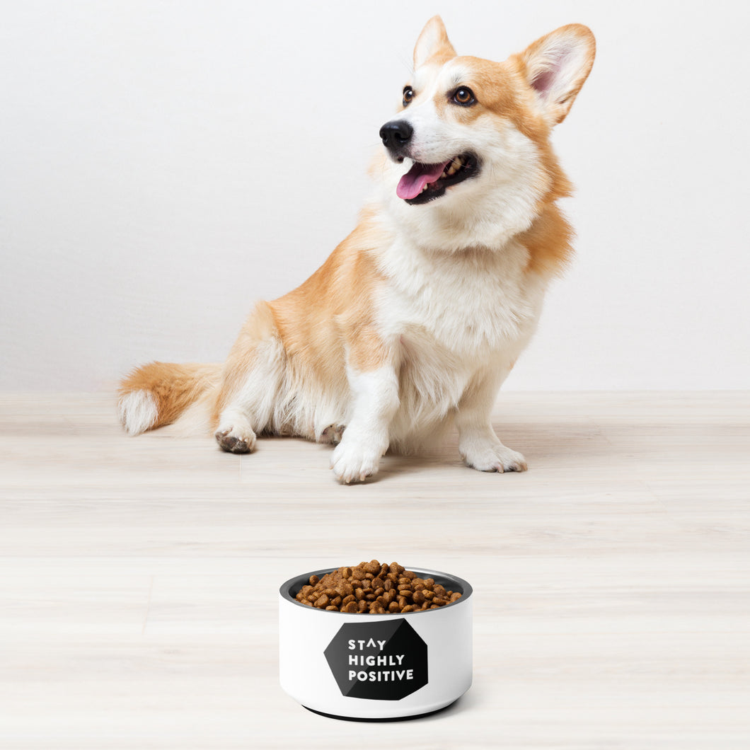 Stay Highly Positive Pet bowl